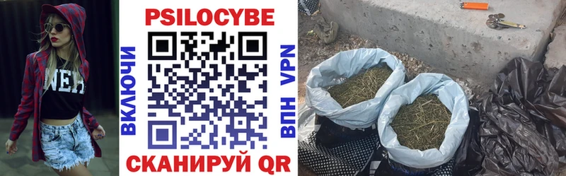 Галлюциногенные грибы мухоморы  Рыльск 